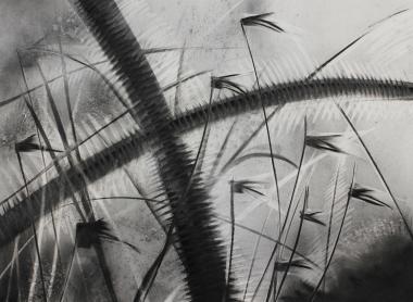 Charcoal: Expressive Mark Making, A Painters Approach To Drawing